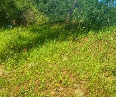 柳關(guān)欒盧鉛鋅礦|治理排土“瘡疤”，繪就綠色畫卷